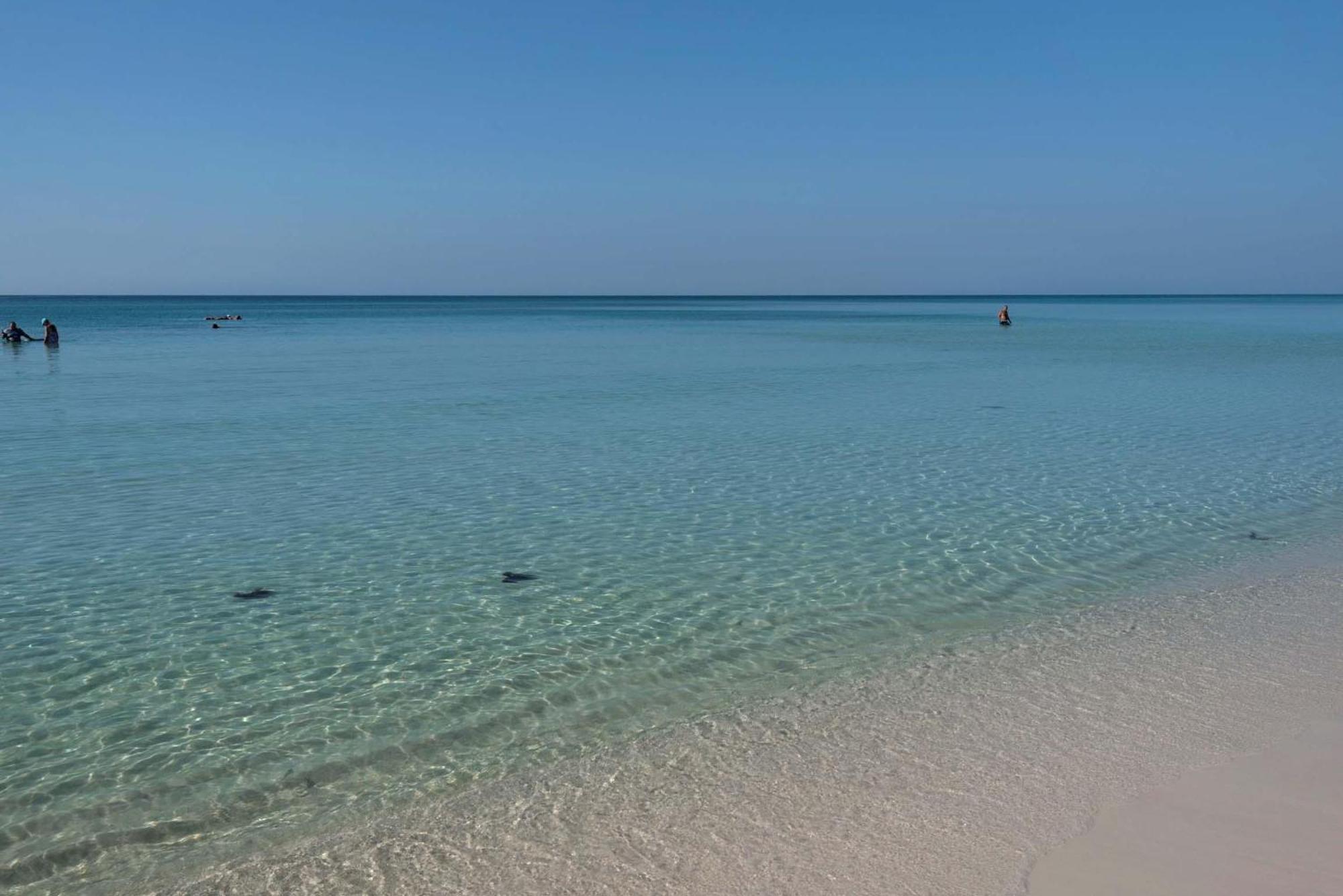 Majestic Sun 1014B- Shades Of Blue Lejlighedshotel Miramar Beach Eksteriør billede